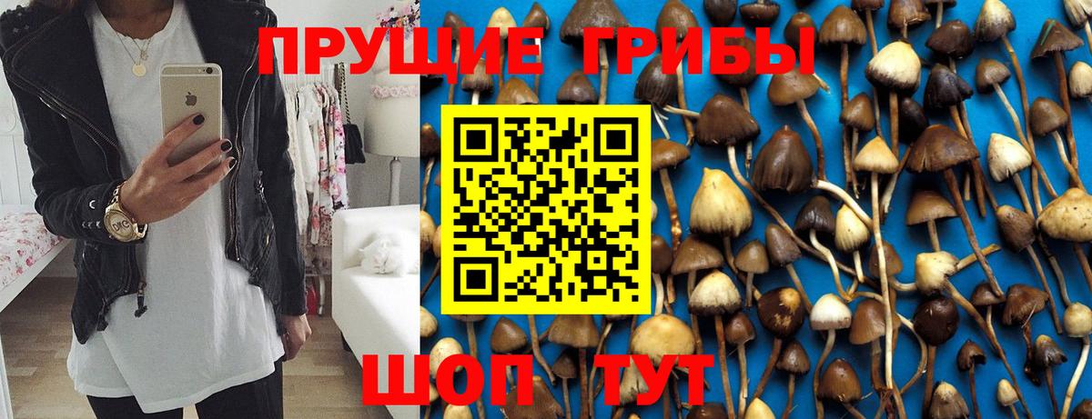 Галлюциногенные грибы мухоморы  Псилоцибиновые грибы Cubensis  Великий Устюг  Вход с VPN 